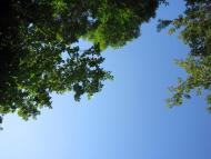 Красний Партизан з panoramio.com