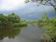 Білий Берег - Останні фото