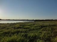 Лиманне з panoramio.com