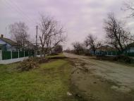 Ботанічне з panoramio.com