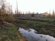 Мироцьке з panoramio.com