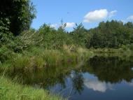 Любовичі з panoramio.com