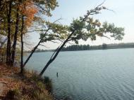 Перлявка з panoramio.com