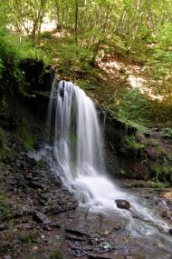 Петрів з panoramio.com