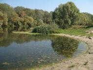 Червоний Донець з panoramio.com - Червоный Донец