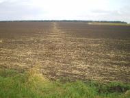 Хрещате з panoramio.com