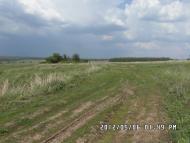 Куряжанка з panoramio.com