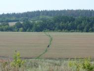 Бірки з panoramio.com