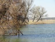 Перковичі з panoramio.com