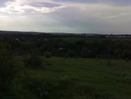 Вила з panoramio.com - Vyla