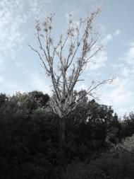 Якторів з panoramio.com