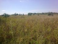 Варівці з panoramio.com