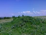 Вила з panoramio.com - Вила