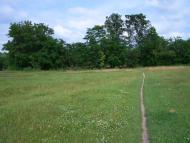 Алтинівка з panoramio.com