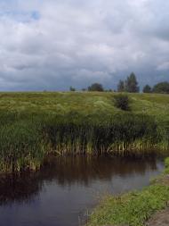 Мізяки - Останні фото