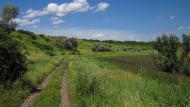 Зеленівка з panoramio.com