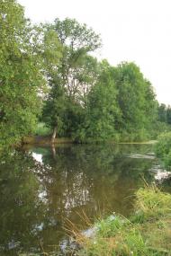 Деркачівка з panoramio.com