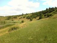 Лиски з panoramio.com