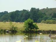 Рогізна з panoramio.com