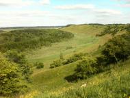 Лиски з panoramio.com