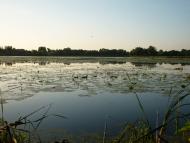 Комсомольське з panoramio.com