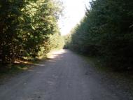 Лісна Поляна з panoramio.com