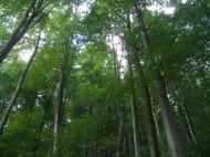 Обава з panoramio.com