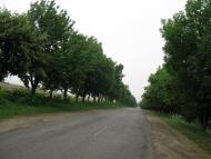 Вила з panoramio.com - Вила