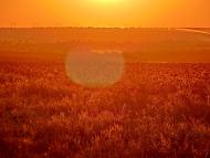 Чечеліївка з panoramio.com