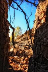 Воскресенівка - Останні фото