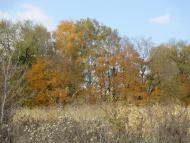 Лаврики з panoramio.com