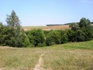 Обозівка з panoramio.com