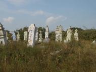 Виноградне з panoramio.com