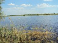 Карпилівка з panoramio.com