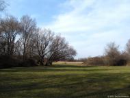 Раєво-Олександрівка з panoramio.com