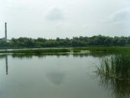 Вербівка з panoramio.com