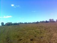 Серкізів з panoramio.com