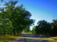 Завітне з panoramio.com