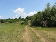 Попівка з panoramio.com