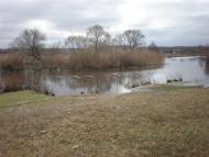 Боровичі з panoramio.com