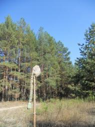 Хащеве з panoramio.com