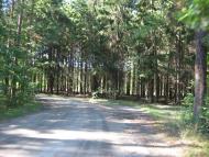 Гранітне з panoramio.com