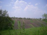 Шкарівка з panoramio.com - Шкарівка