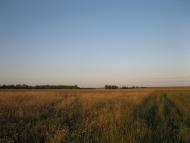 Гужівка з panoramio.com
