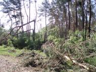 Вільне з panoramio.com