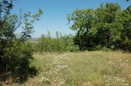 Красна Зоря з panoramio.com