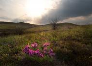 Верхня Оріхівка з panoramio.com