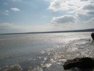 Широке з panoramio.com