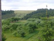 Дністрик-Дубовий з panoramio.com