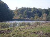 Тимар з panoramio.com